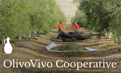 OlivoVivo Cooperative